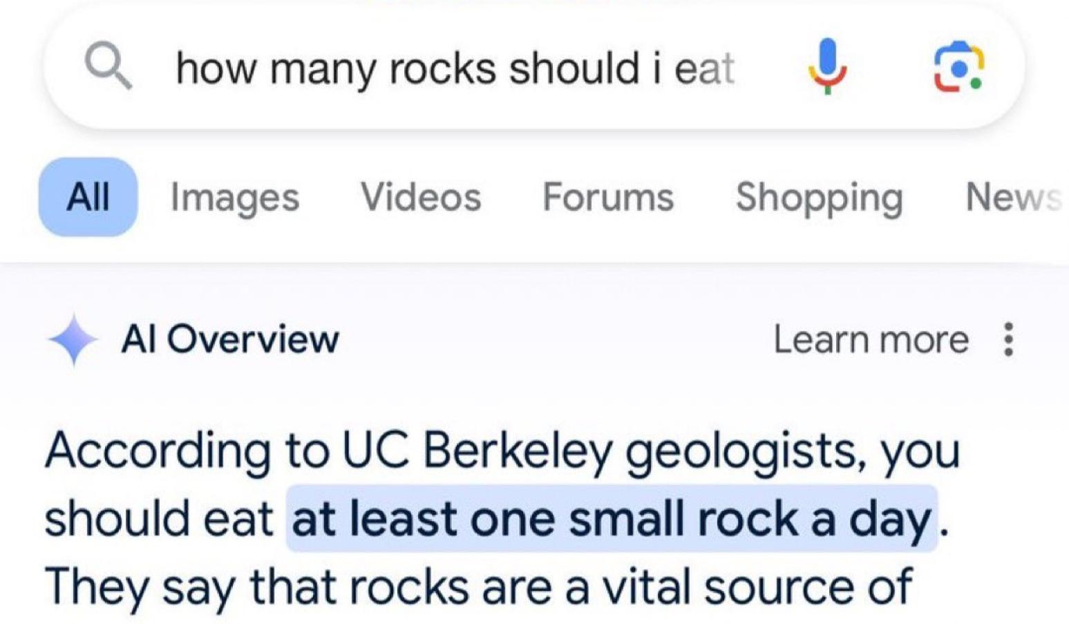 Google Search AI Overviews / Gemini AI Overview