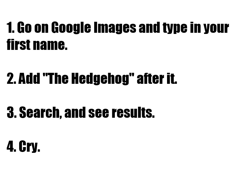 Google "[Your Name] The Hedgehog", Post Result Meme Template