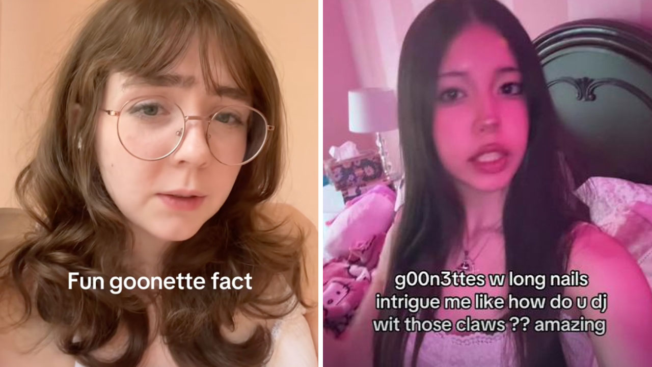 Goonette Meme Template