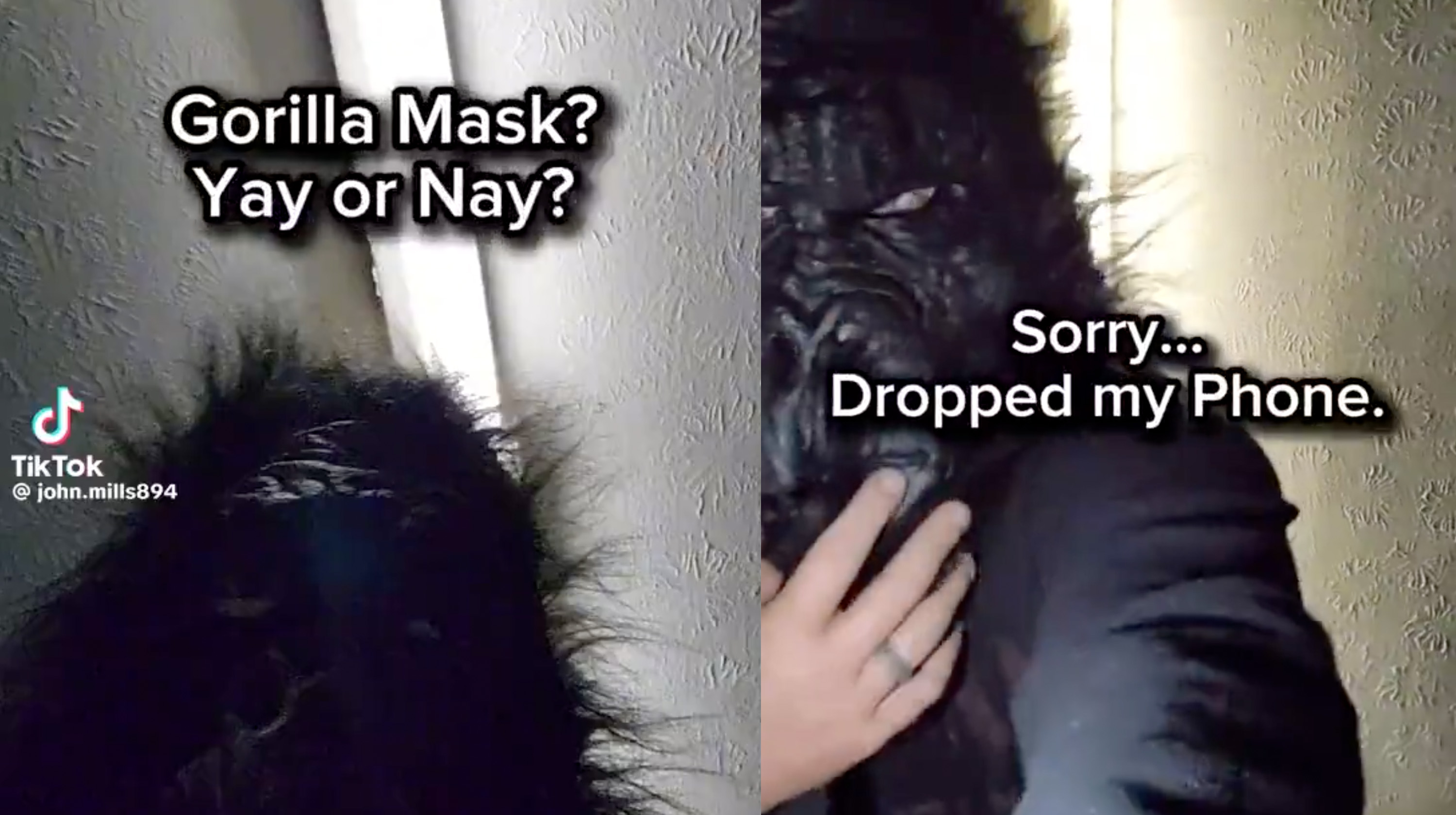 Gorilla Mask Video Meme Template
