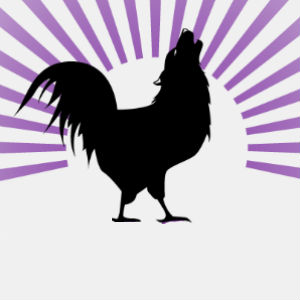 Greatest International Scavenger Hunt The World Has Ever Seen (GISHWHES)