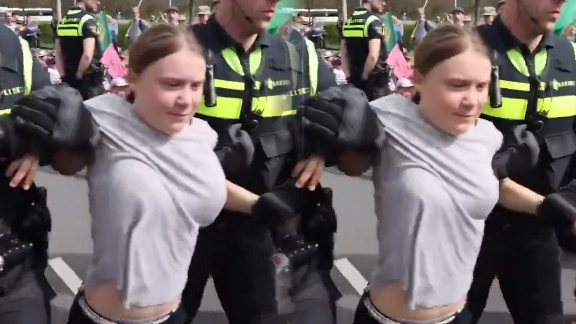 Greta Thunberg Breasts Photoshop Meme Template