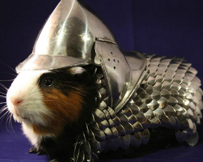 Guinea Pig Armor Charity Auction Meme Template
