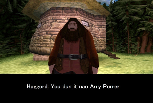 Haggord / "You Dun It Nao Arry Porrer" Meme Template