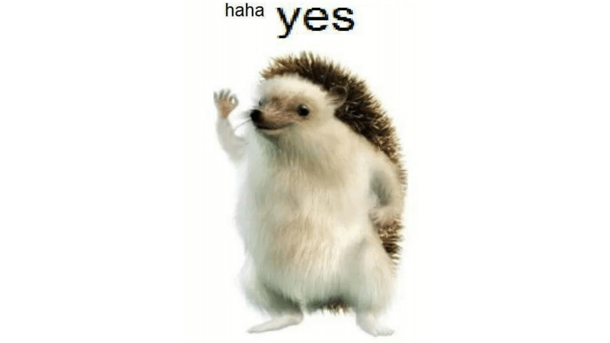 Haha Yes Hedgehog Meme Template