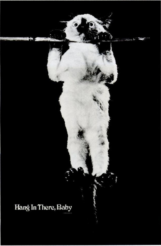 Hang In There, Baby Meme Template