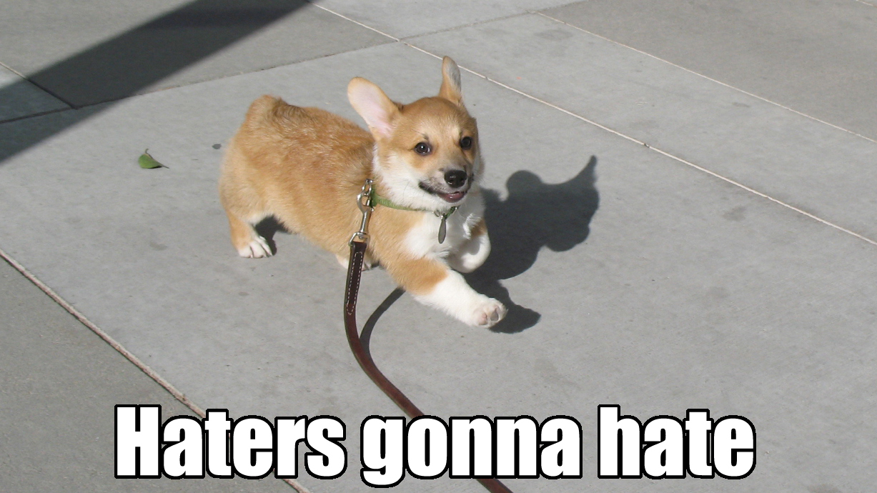 Haters Gonna Hate Meme Template
