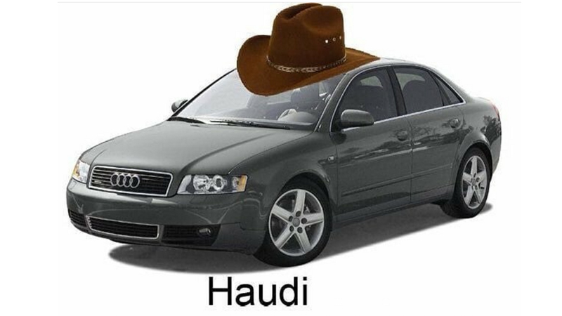 Haudi