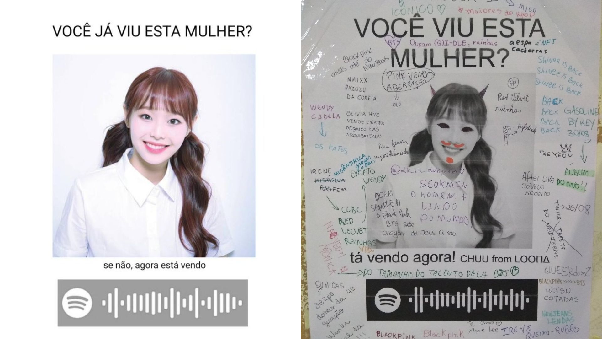 Have You Seen This Woman?