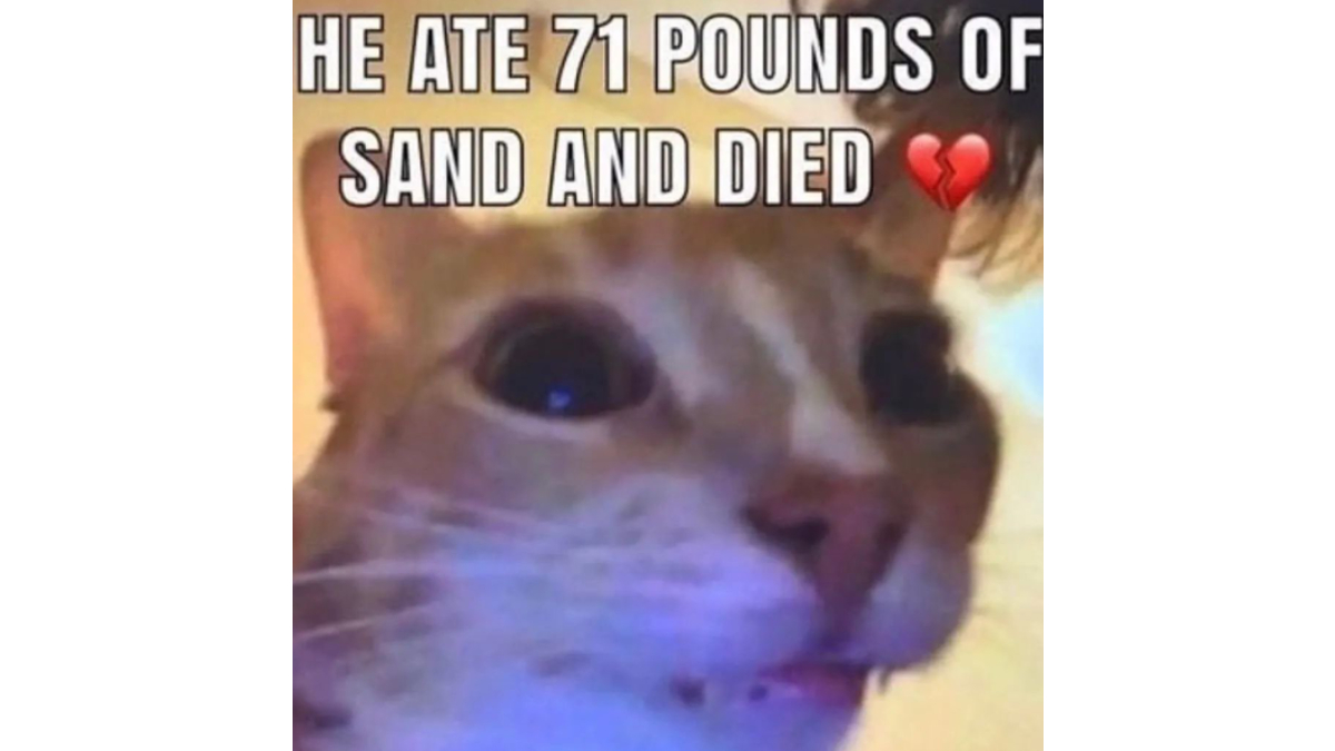 He Ate 71 Pounds of Sand And Died