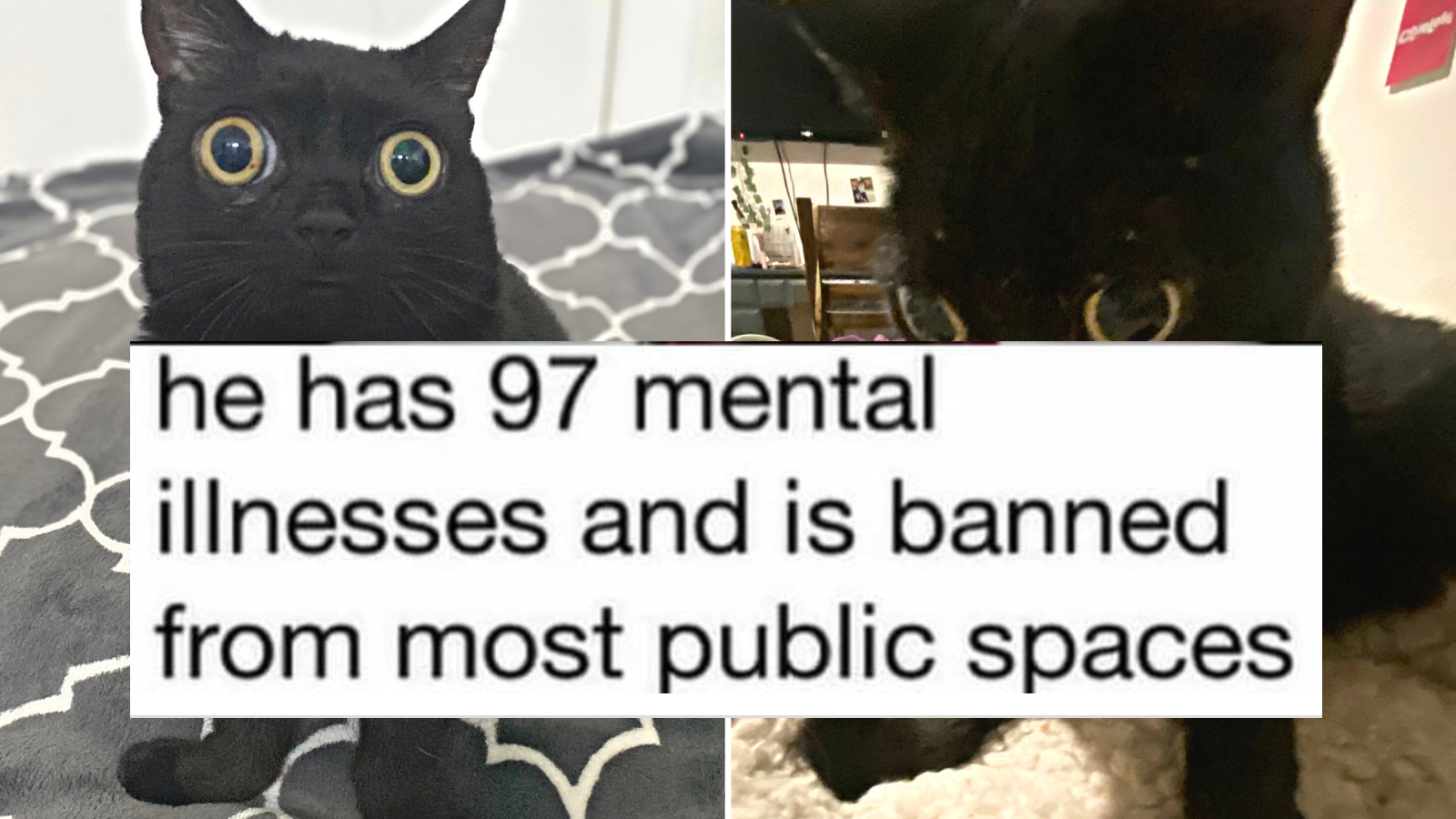 He Has 97 Mental Illnesses Meme Template