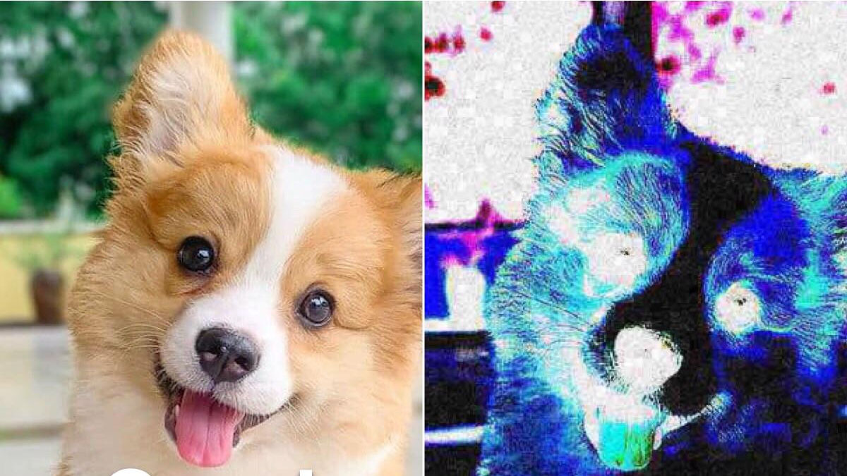 He Was a Good Man / Until He Wasn't Meme Template