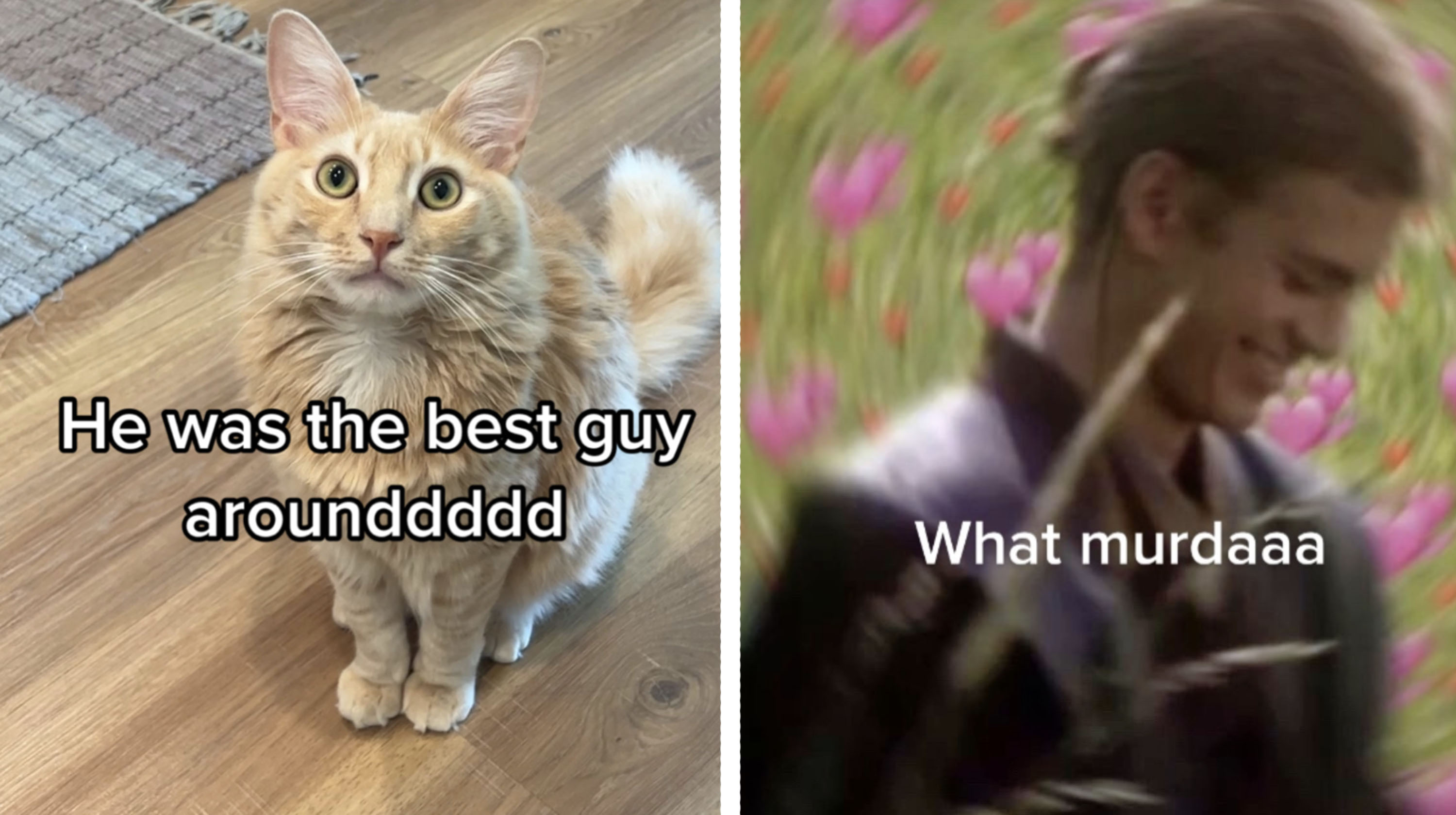 He Was The Best Guy Around