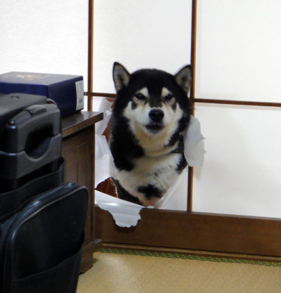 Heard You Were Talking Shit Meme Template