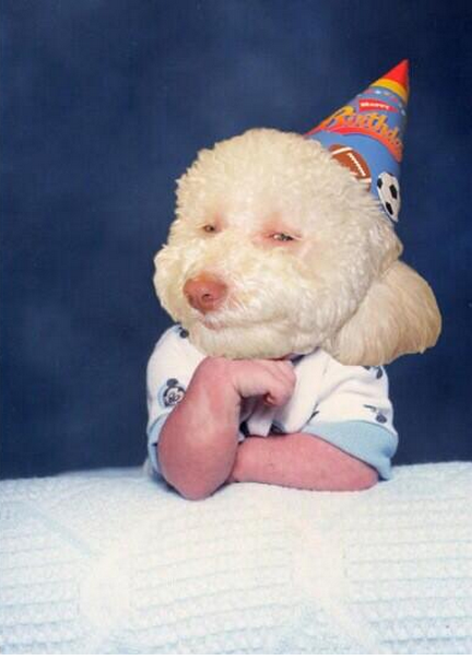 #HeavenIsForRealMovie Meme Template