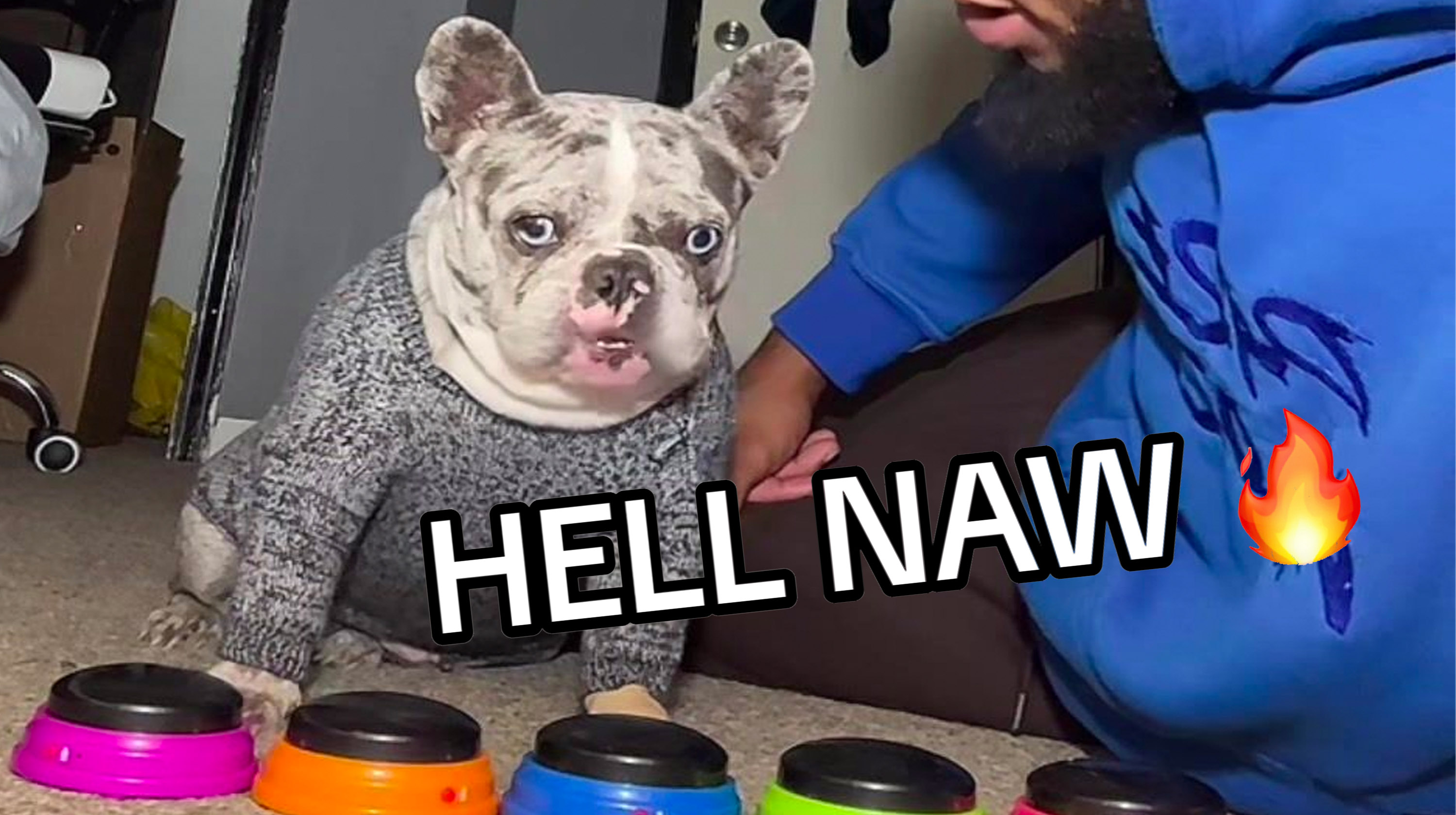 "Hell Naw" Dog Meme Template