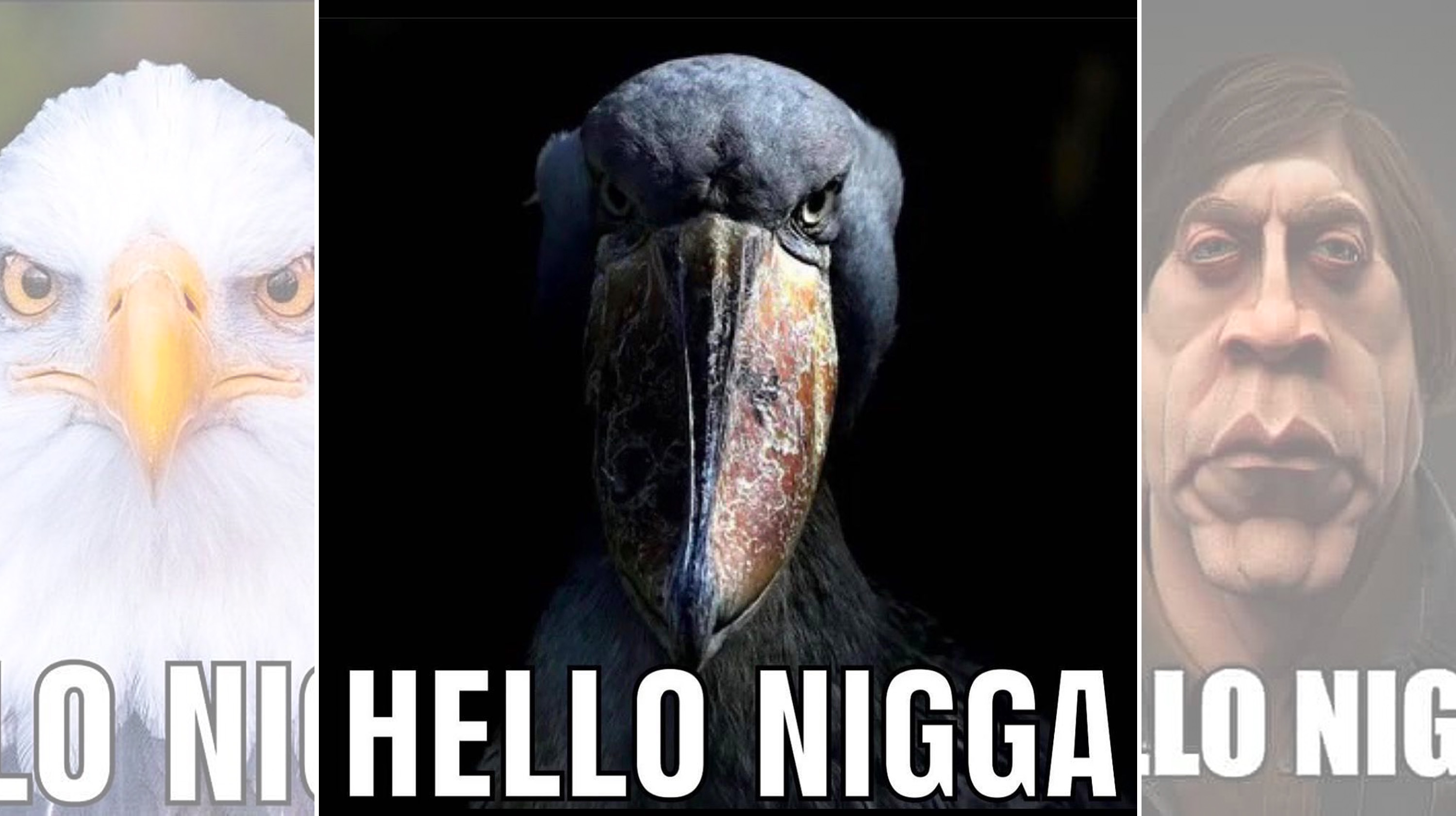 Hello Nigga Meme Template