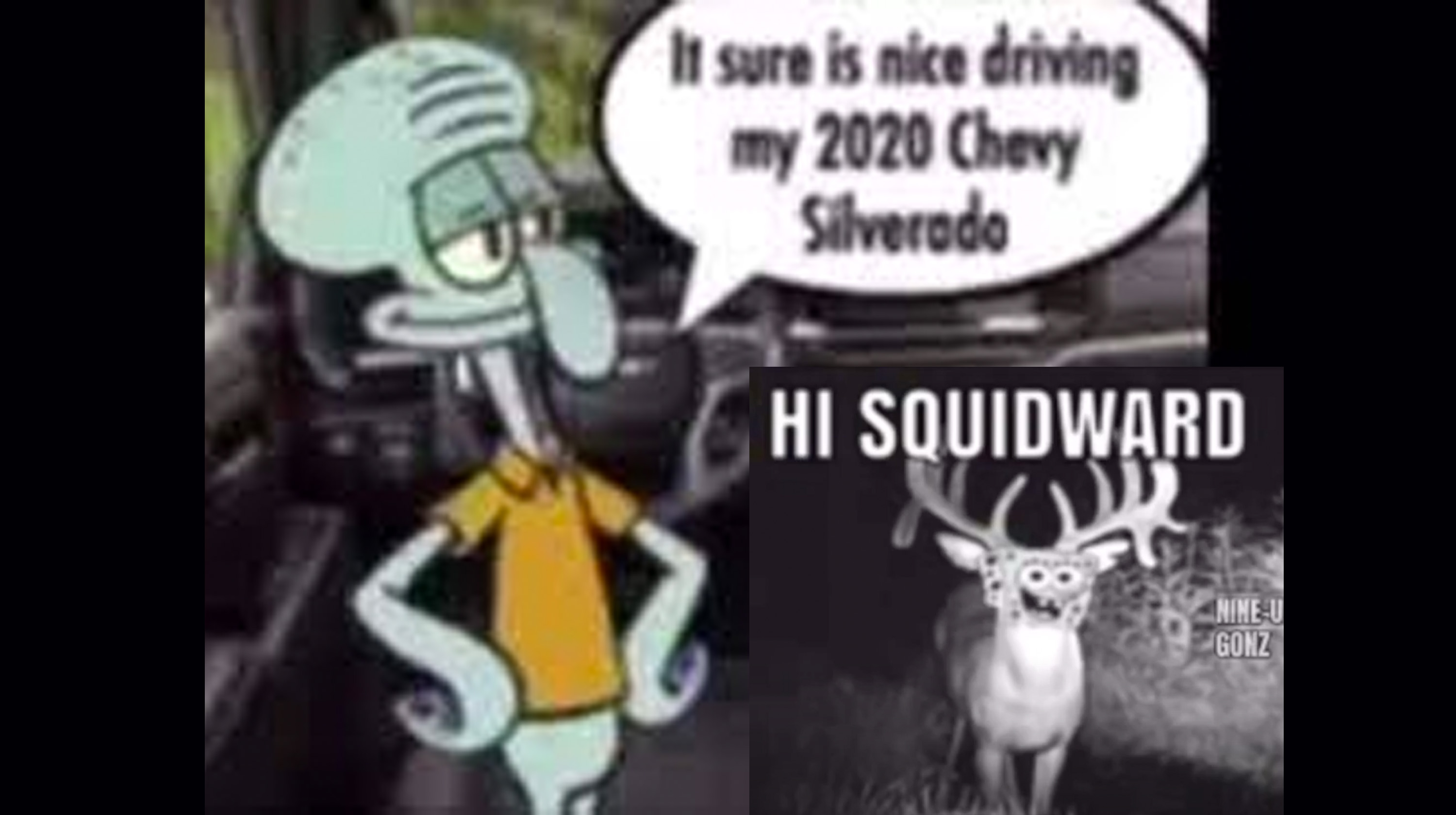 Hi Squidward / It Sure Is Nice