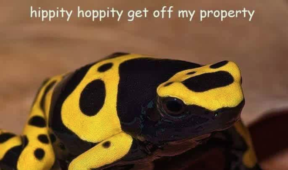 Hippity Hoppity