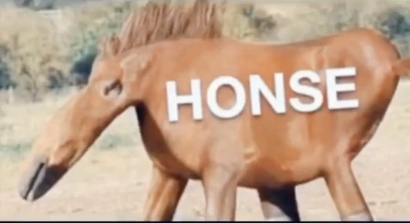 Honse