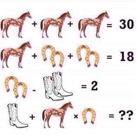 Horse Algebra Question Meme Template