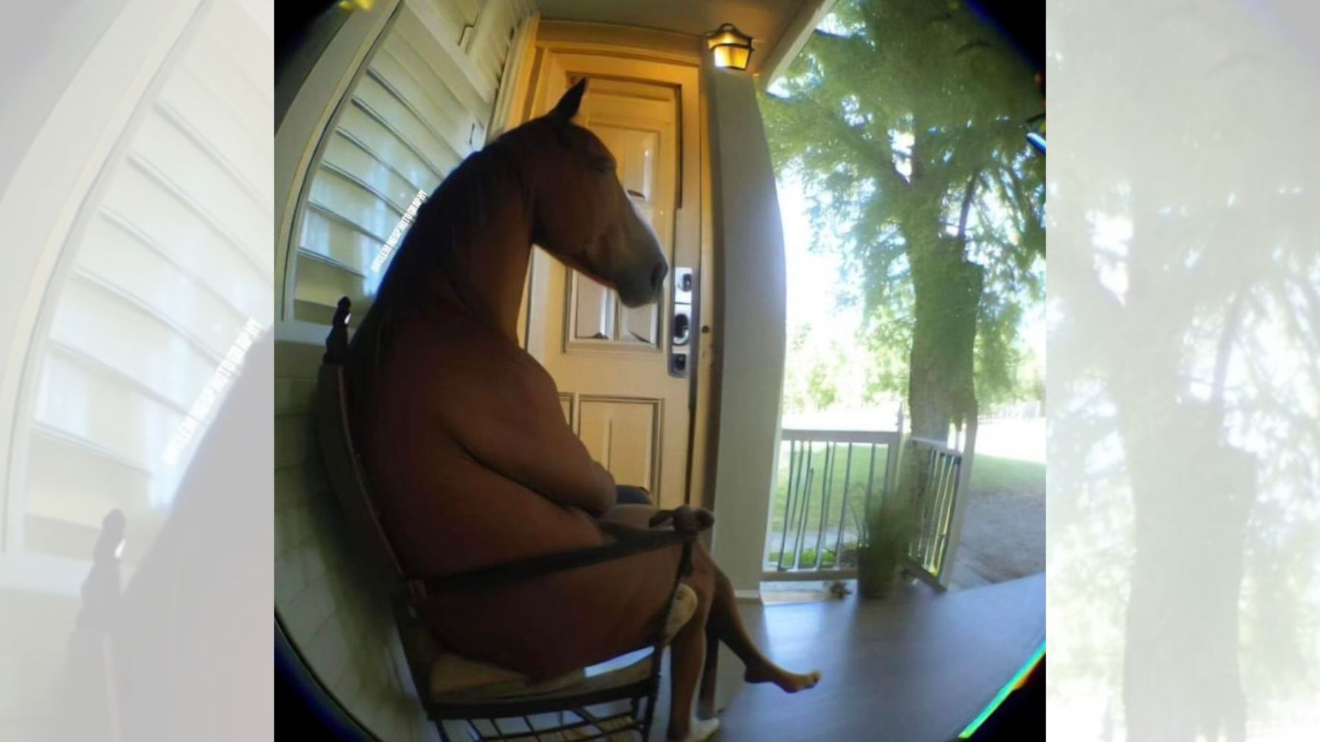 Horse Sitting In A Chair / Horse Sitting On The Front Porch