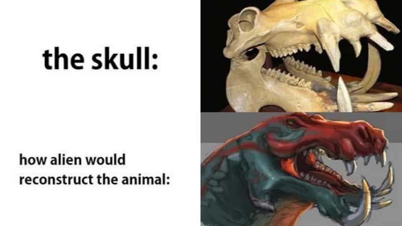 How Aliens Would Reconstruct The Animal Meme Template