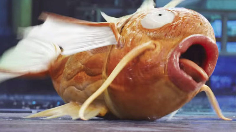 How Little Kids Cough