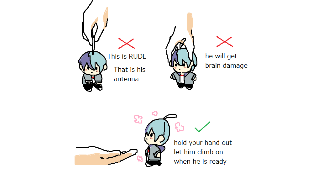 How to Pick Up X / How to Handle X Meme Template