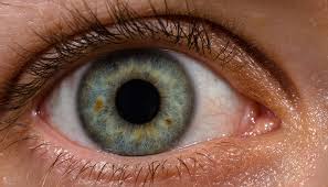 Human Eye Can Only See at 60 FPS Meme Template