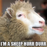 Hurr Durr Meme Template