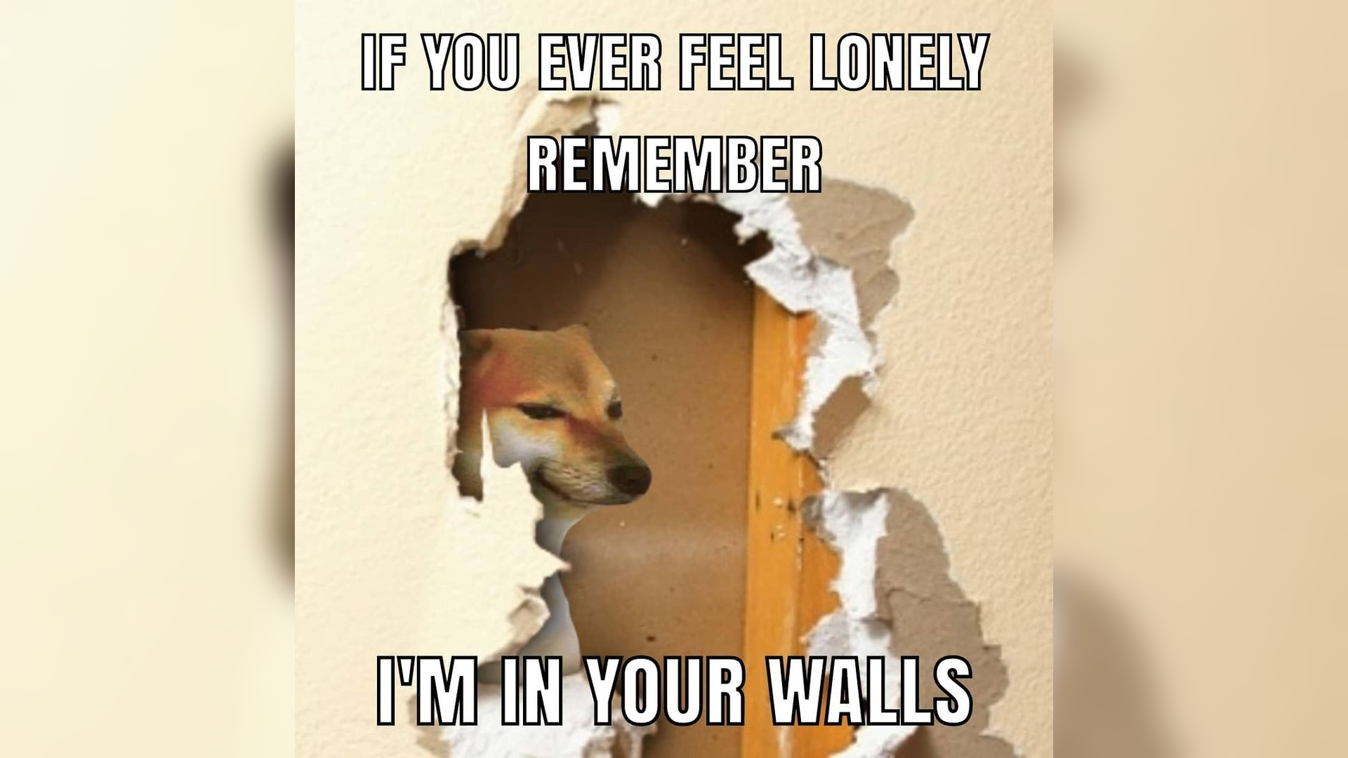 I Am Living in Your Walls