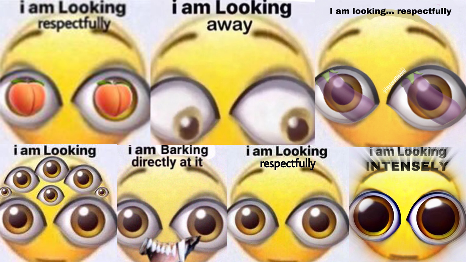 I Am Looking Respectfully