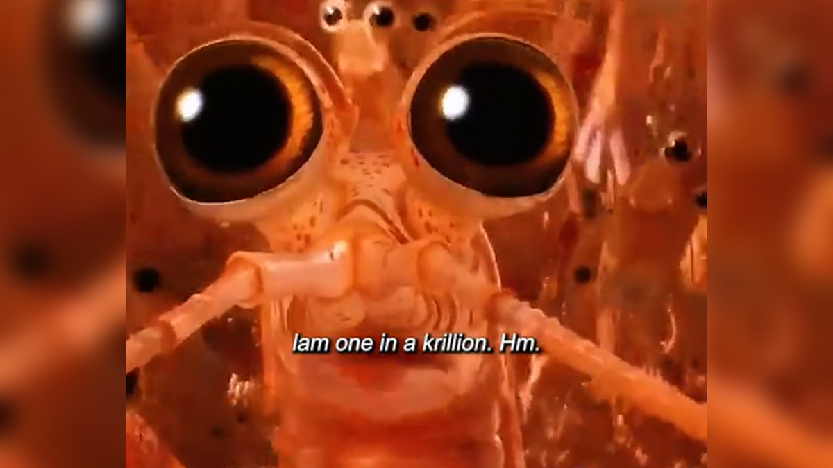 I Am One in A Krillion Meme Template