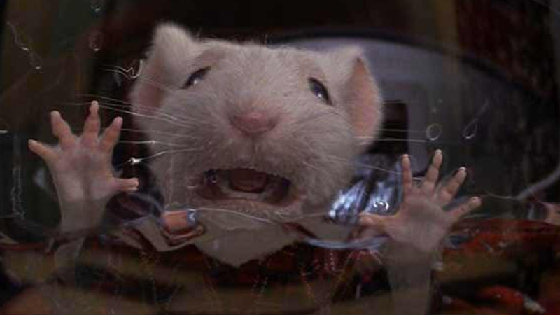 I Hate Stuart Little
