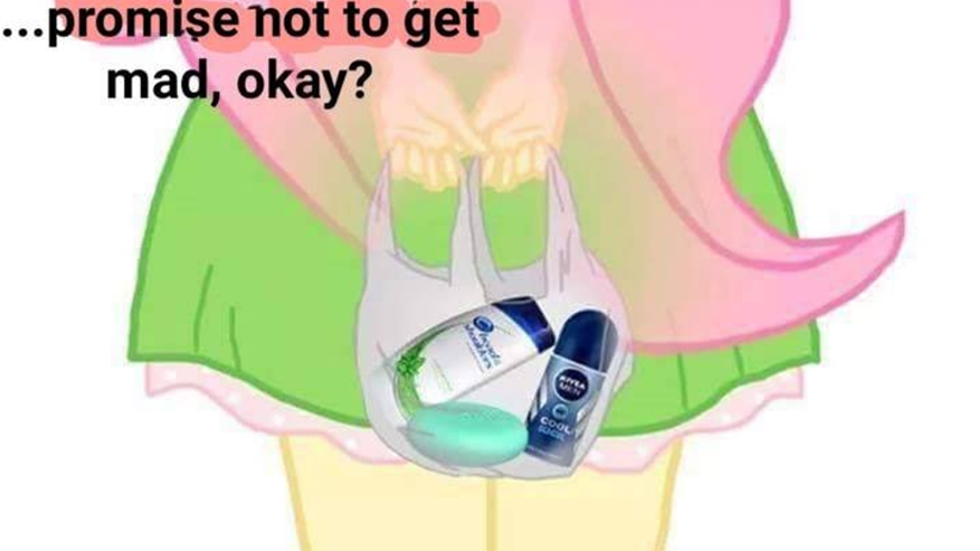 I Have Something For You, But Promise Not to Get Mad, Okay? Meme Template