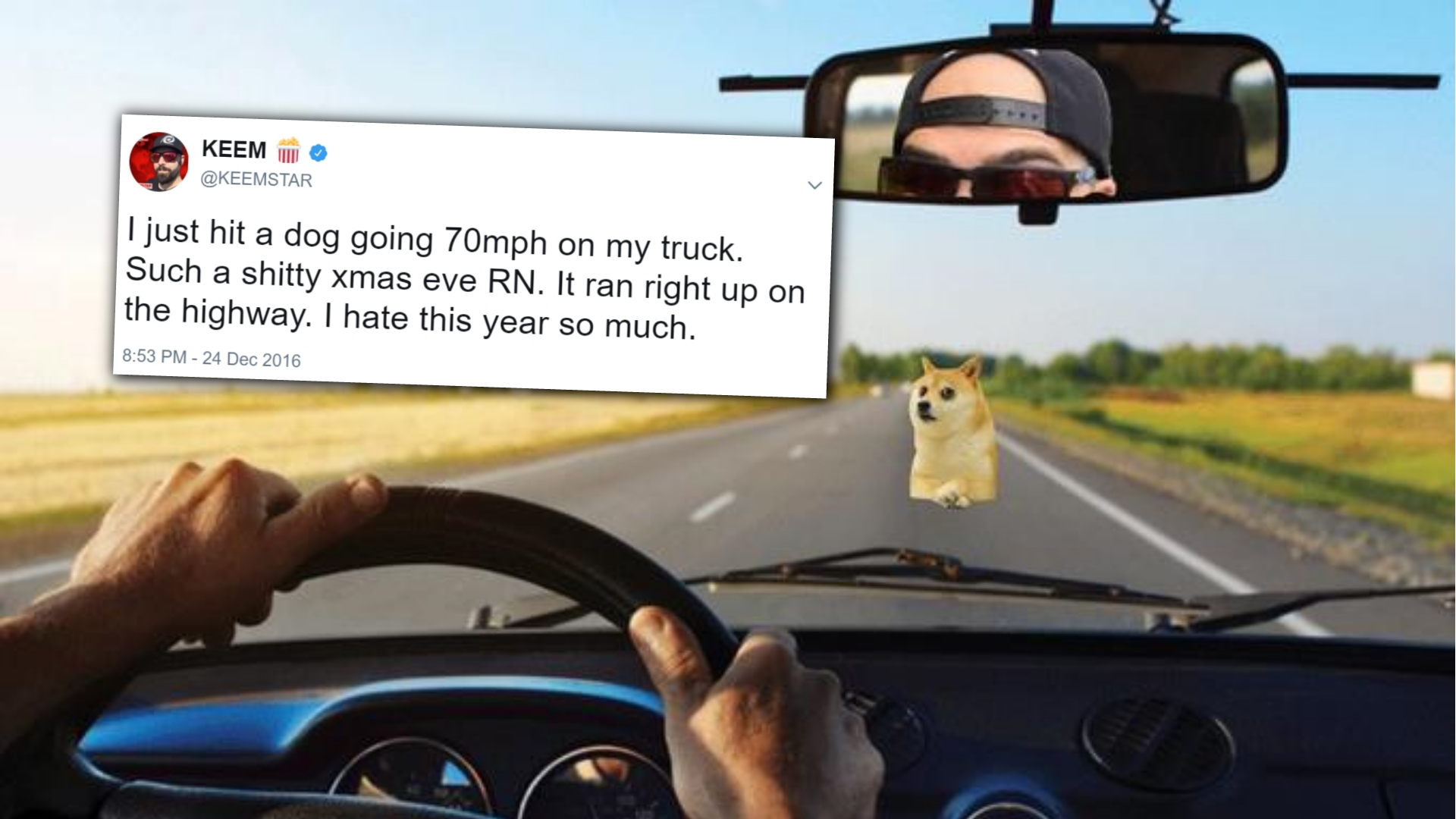 I Just Hit a Dog Going 70MPH on My Truck