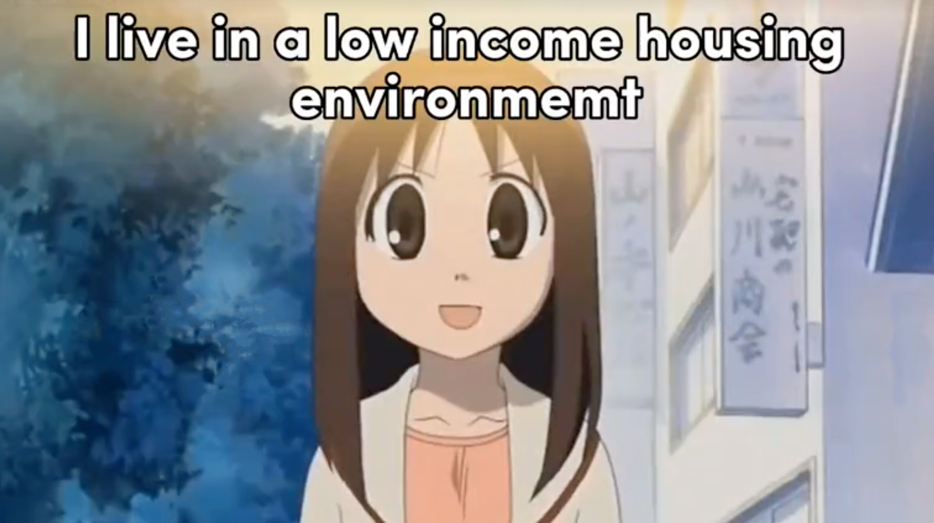 I Live In a Low Income Housing Environment That Goes by the Government Name of Section 8