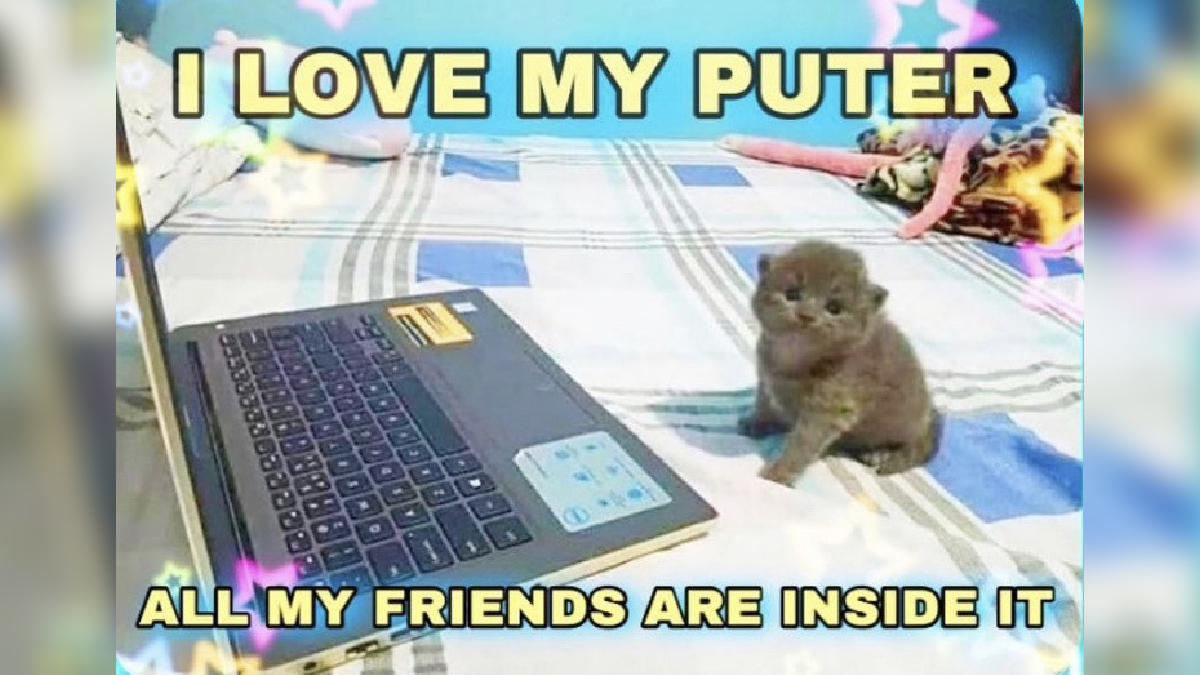 I Love My Puter / I Hate My Puter Meme Template