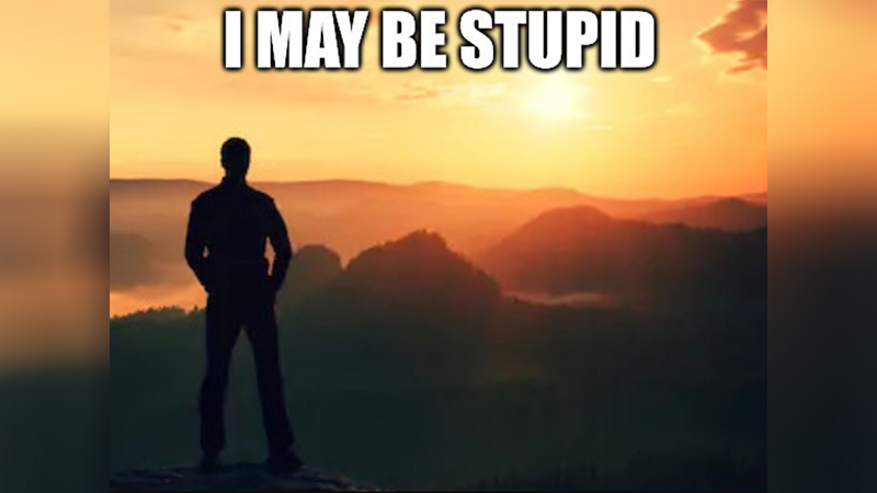 I May Be Stupid
