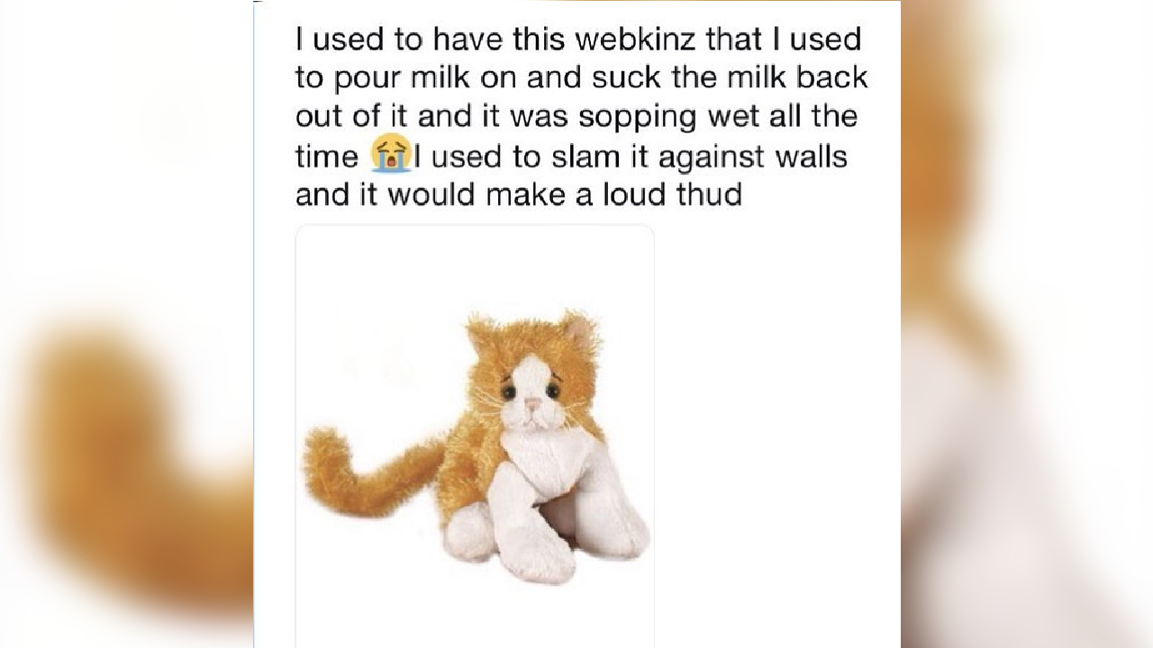 I Used To Have This Plushie That I Used To Pour Milk On And Suck The Milk Back Out