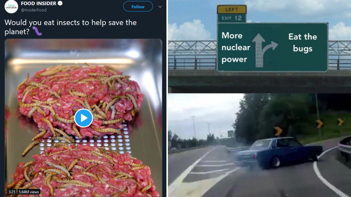 I Will Not Eat the Bugs Meme Template