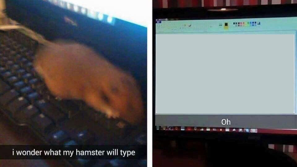 I Wonder What My Hamster Will Type Meme Template