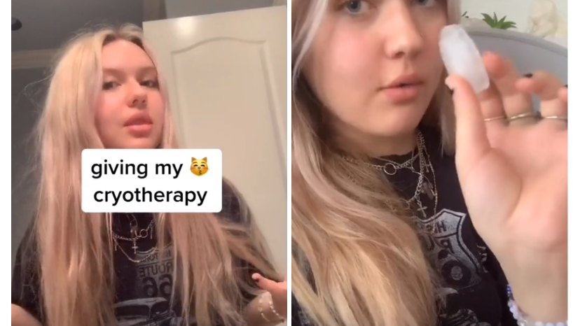 Ice Cube Vagina Challenge Meme Template