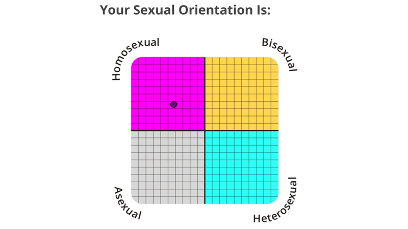 IDRlabs Sexual Orientation Test