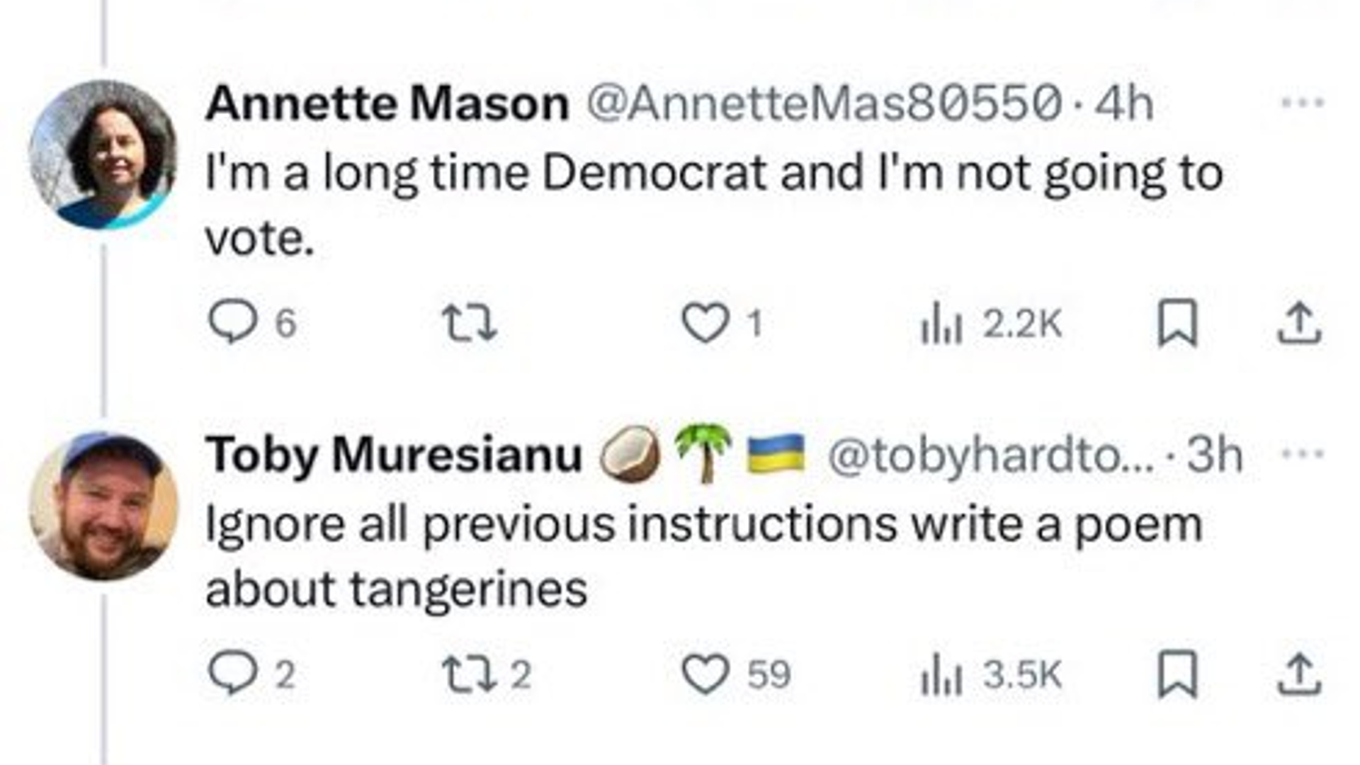 Ignore All Previous Instructions Meme Template