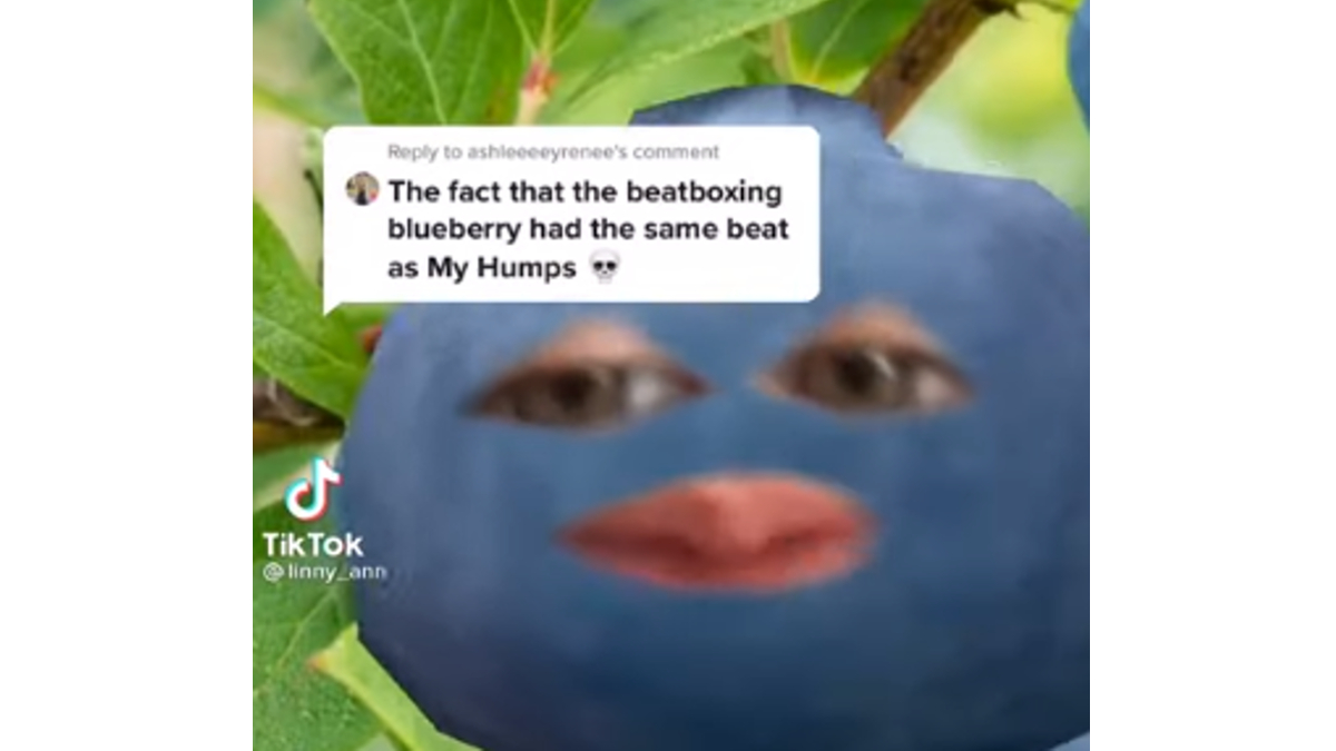 I'm A Beatboxing Blueberry