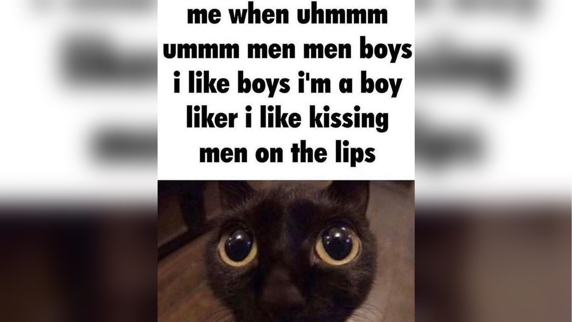 I'm a Boy Liker, I Like Kissing Men on the Lips Meme Template