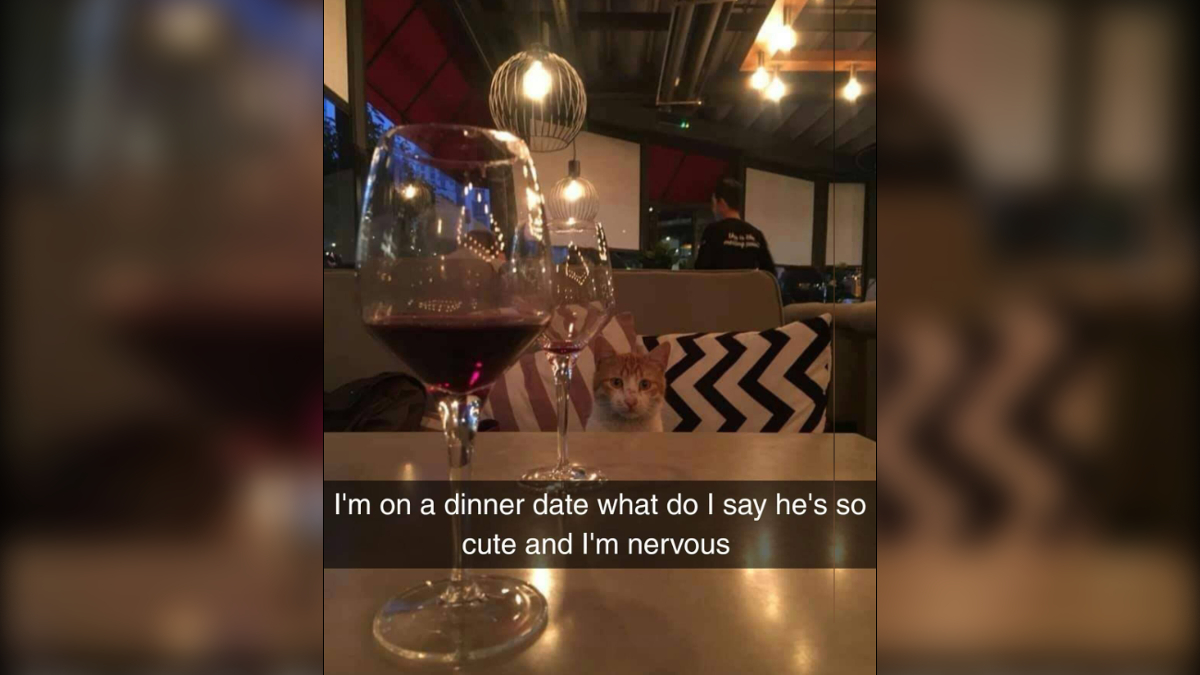 I’m On a Dinner Date What Do I Say He’s So Cute Meme Template