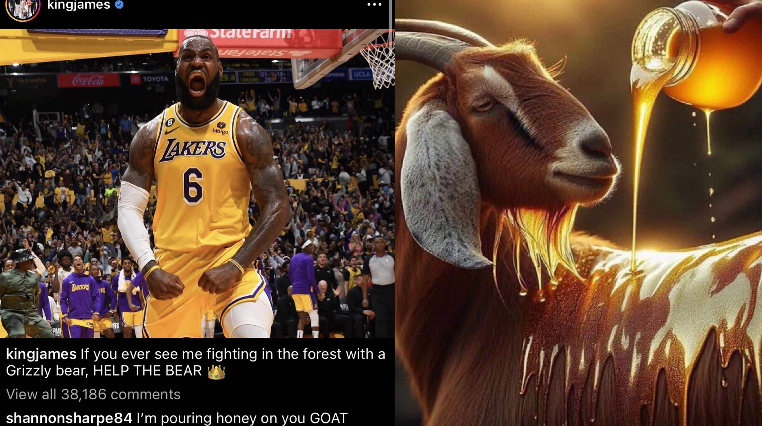 I'm Pouring Honey on You GOAT